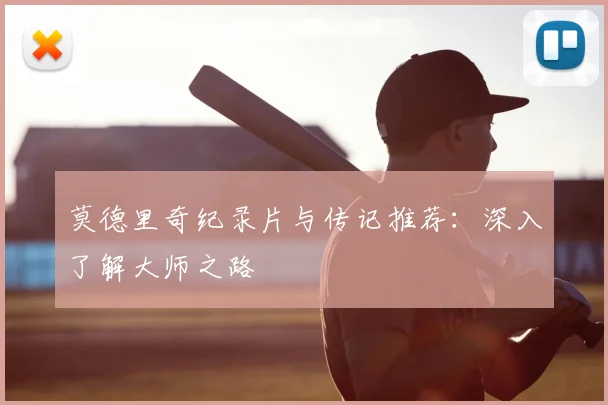 莫德里奇纪录片与传记推荐:深入了解大师之路