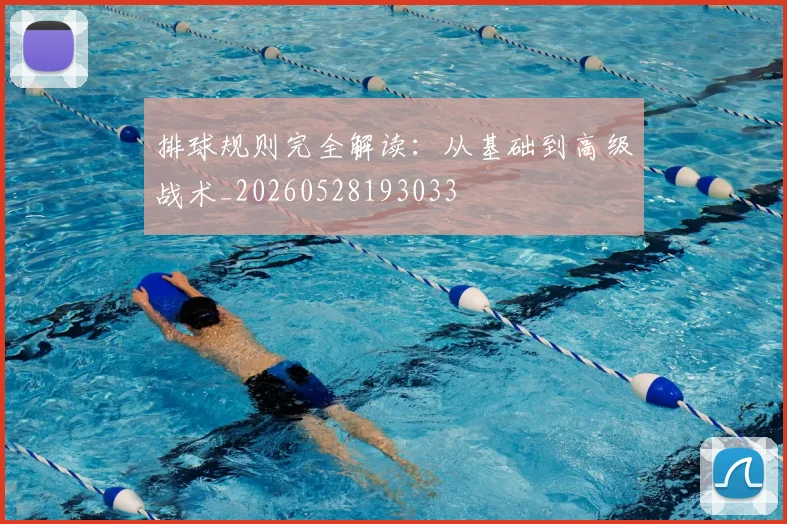 排球规则完全解读：从基础到高级战术_20260528193033