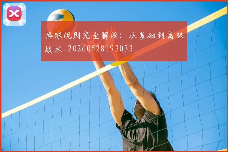 排球规则完全解读：从基础到高级战术_20260528193033