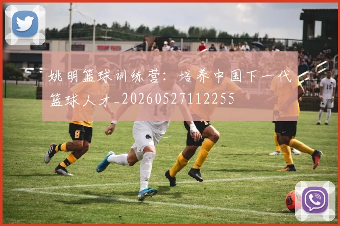 姚明篮球训练营：培养中国下一代篮球人才_20260527112255